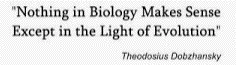 Evolution the Backbone
                                            of Biology