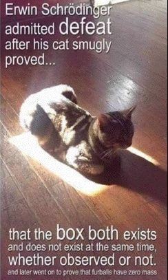 Erwin
                                                          Schrödinger's
                                                          cat